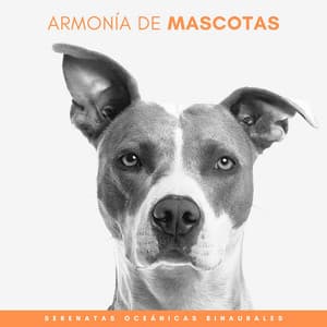 Armonía De Mascotas: Serenatas Oceánicas Binaurales - Bestia binaural