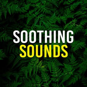 Soothing Sounds - Spa Music