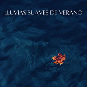 Lluvias Suaves De Verano - Escuela de Lluvia