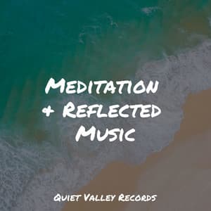 Meditation & Reflected Music - White Noise Sound Garden