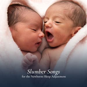 Slumber Songs for the Newborns Sleep Adjustment - Musica para Bebes