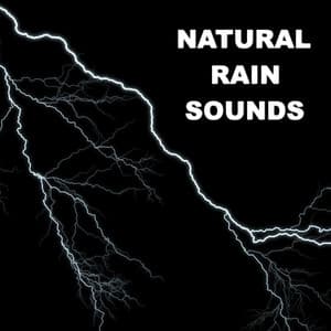 Natural Rain Sounds - Wind and Rain Sounds