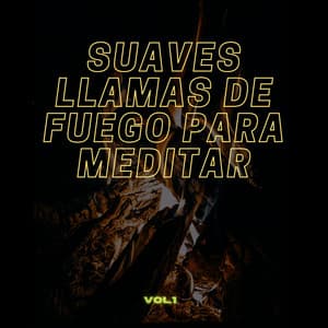 Suaves llamas de fuego para meditar Vol.1 - Terrícola