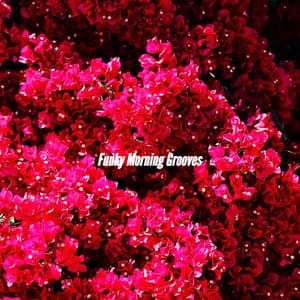 Funky Morning Grooves - Lounge Jazz Bar Deluxe