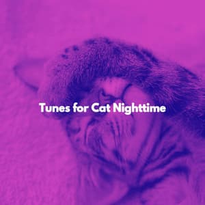 Tunes for Cat Nighttime - Vintage Cafe Ambiance