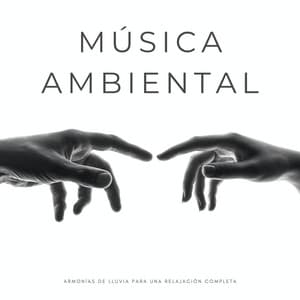 Música Ambiental: Armonías De Lluvia Para Una Relajación Completa - Zona de Música Sexual