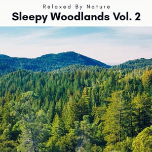 2022 Sleepy Woodlands Vol. 2 - Natural Woodland Sounds