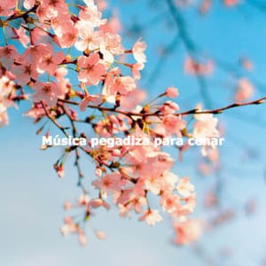 Música pegadiza para cenar - New Orleans Jazz Radio