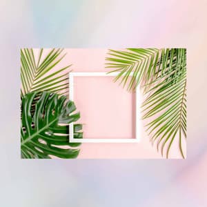 Jazz Organ - Bgm for Inducing Moments - Office Background Music Playlists