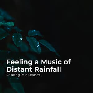 Feeling a Music of Distant Rainfall - Relaxing Rain Sounds