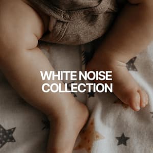 White Noise Collection - Official White Noise Collection