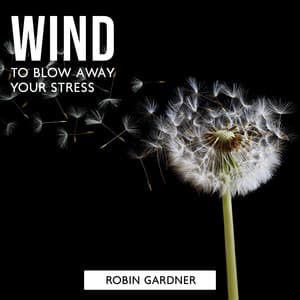 Wind to Blow Away Your Stress - Robin Gardner