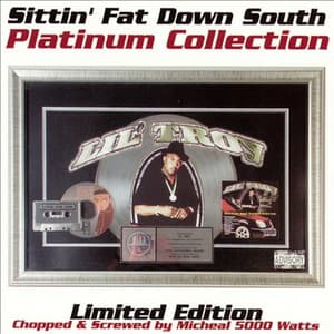 Sittin Fat Down South - Lil' Troy