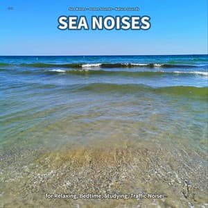 ** Sea Noises for Relaxing, Bedtime, Studying, Traffic Noise - Sea Waves