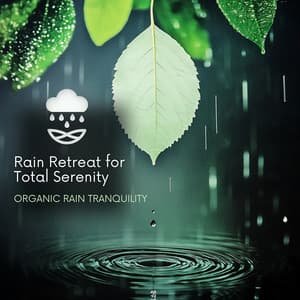 Rain Retreat for Total Serenity - Organic Rain Tranquility