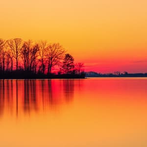 50 White Noise Sounds For Sleeping: Ambient Whisper - White Noise