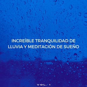 Increíble Tranquilidad De Lluvia Y Meditación De Sueño Vol. 1 - Lluvia Sueño Sonido y Ruido Blanco