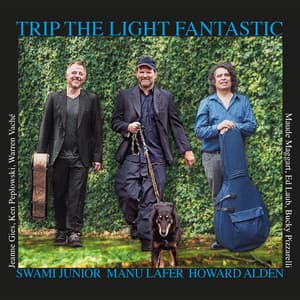 Trip the Light Fantastic - Howard Alden