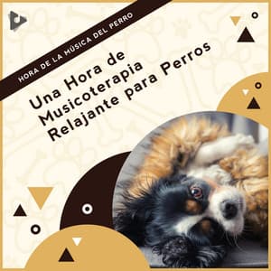1 Hora de Musicoterapia Relajante para Perros - Hora de la Música del Perro