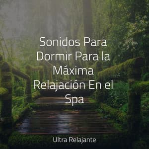 Sonidos Para Dormir Para la Máxima Relajación En el Spa - Natureza Musica Bem-Estar Academia