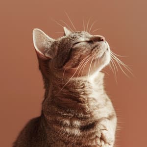 Patitas Suaves: Música Apacible Para La Relajación De Los Gatos - Relaja mi gatita