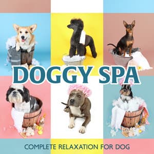 Doggy Spa: Complete Relaxation for Dog - Animal Melody Wizard