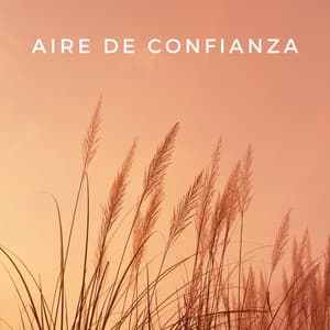 Aire De Confianza - Aire relajante