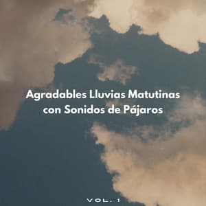 Agradables Lluvias Matutinas Con Sonidos De Pájaros Vol. 1 - Efectos especiales de lluvia del bosque