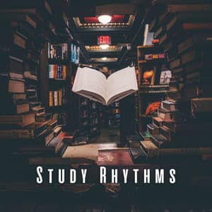 Study Rhythms: Enhance Learning with Music - Discipline Vibes