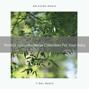 Perfect Colourful Noise Collection For Your Baby - Sleep & Dream Music Academy