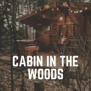 Cabin in the Woods - Relaxing Cabin Noise