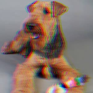 Refined Background for Jazzy Chill Dogs - Puppy Music