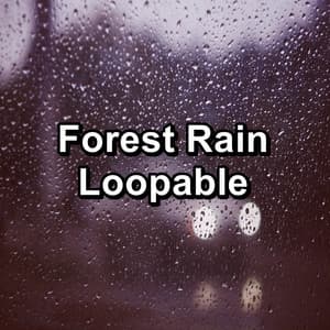 Forest Rain Loopable - Sleep Music System