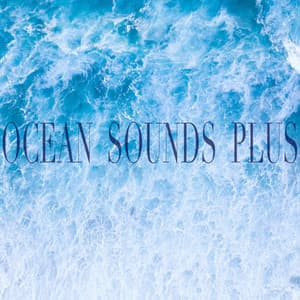Ocean Sounds Plus - Sea Waves Sounds