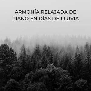 Armonía Relajada De Piano En Días De Lluvia - Sonidos de hombre de lluvia