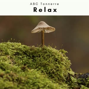 4 Relax - ABC Tonnerre