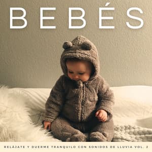 Bebés: Relájate Y Duerme Tranquilo Con Sonidos De Lluvia Vol. 2 - La Fábrica de Lluvia