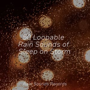 50 Loopable Rain Sounds of Sleep on Storm - Sleep Sounds of Nature