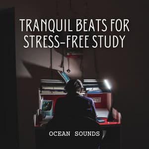 Ocean Sounds: Tranquil Beats for Stress-Free Study - Ocean in HD