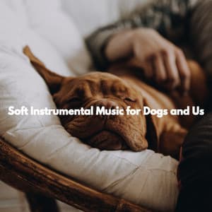 Soft Instrumental Music for Dogs and Us - Dog Sleeping Soundtracks Deluxe
