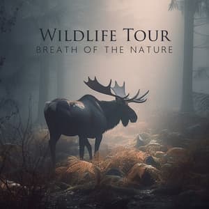 Wildlife Tour: Breath of the Nature, Music for Relaxation - Close to Nature Music Ensemble