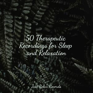 50 Therapeutic Recordings for Sleep and Relaxation - Guided Meditation