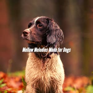 Mellow Melodies Made for Dogs - Jazz for Dogs