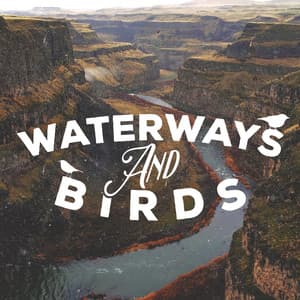 Waterways and Birds - Bird Sounds
