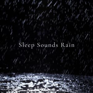 Sleep Sounds Rain - Natural Woodland Sounds