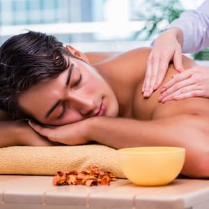 Owl's Nature Touch: Bird Song and Wind Melodies for Massage - Animal Melody Wizard