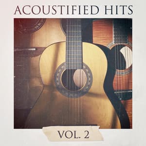 Acoustified Hits, Vol. 2 - 60's 70's 80's 90's Hits