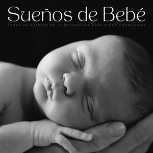 Sueños De Bebé: Tonos Relajantes De La Naturaleza Para Niños Dormilones - Últimos sonidos de la naturaleza