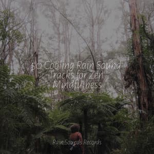 50 Cooling Rain Sound Tracks for Zen Mindfulness - Cascada de Lluvia