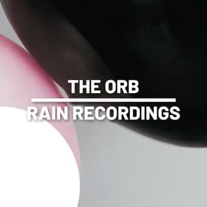 The Orb - Rain Recordings